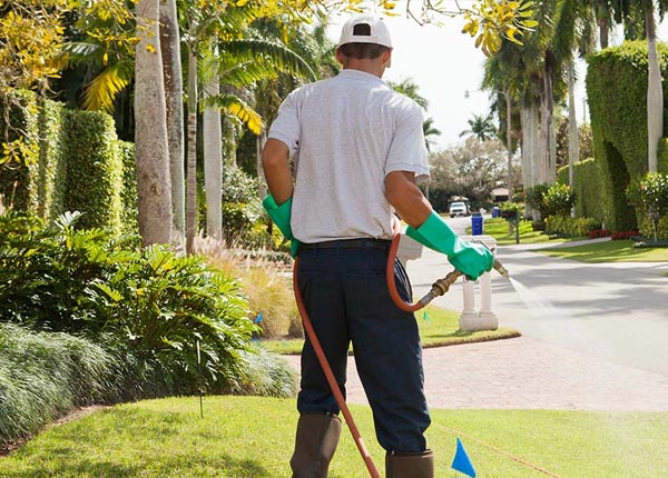 About Brookfield VT Pest Control